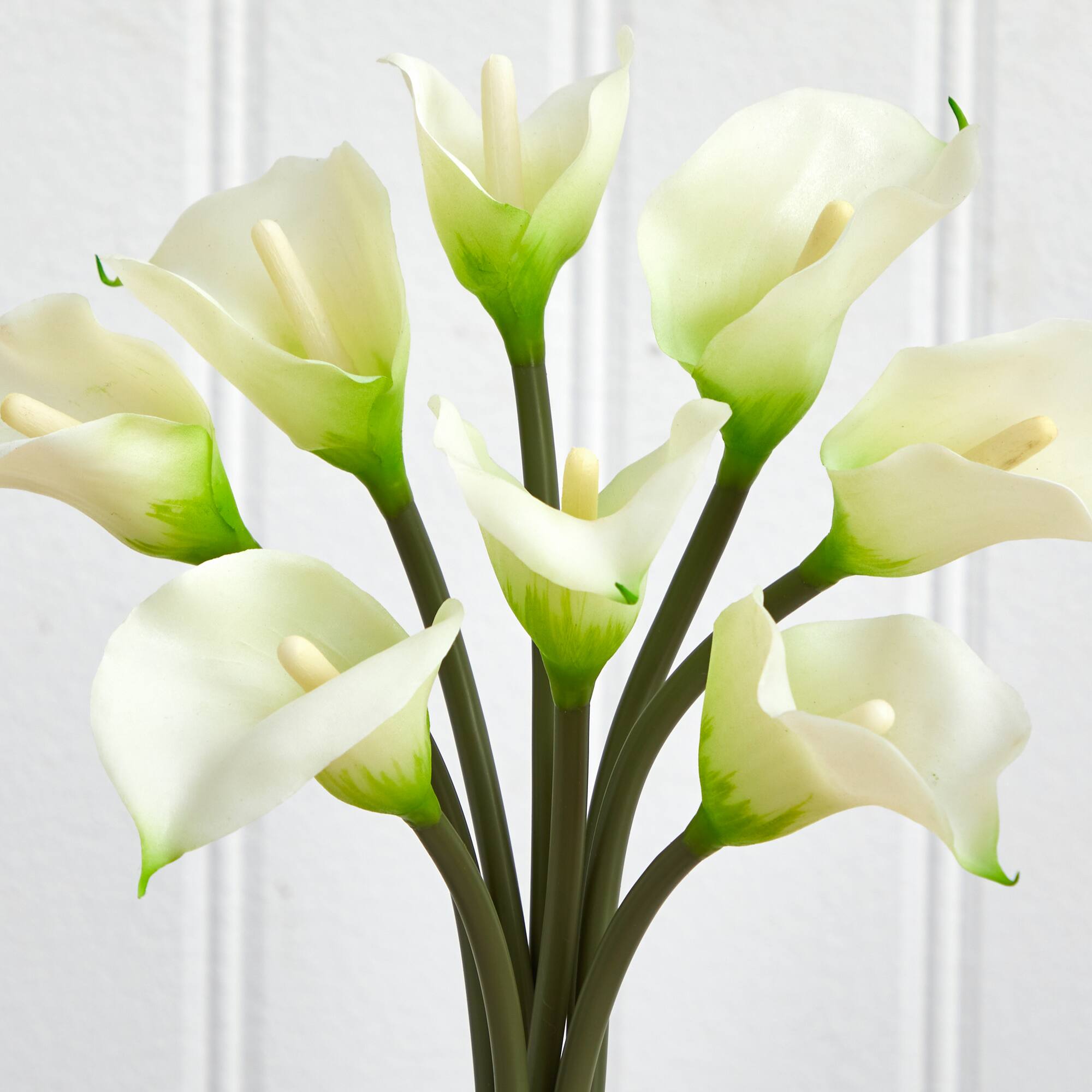 16" Classic Calla Lily Arrangement in Vase